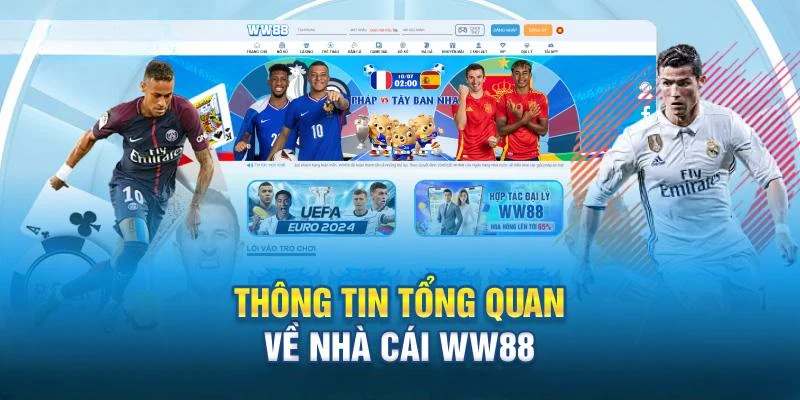 Giới thiệu WW88 - Điểm tham gia giải trí cá cược đẳng cấp Giới thiệu WW88 chi tiết cho người mới